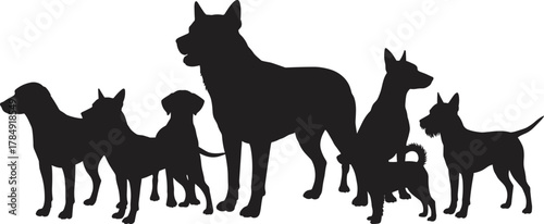 Silhouette of multiple dogs standing together, domestic pets of different breeds, animal friendship, unity, and companionship concept on white background