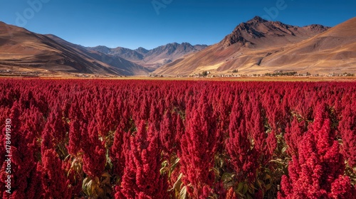 Vast Bright Red Landscape Shot at Eye Level in Photorealistic Style