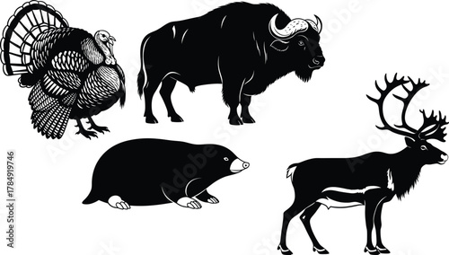 urkey, bison, mole, reindeer illustration, black and white animal drawing, wildlife sketch, forest creature art, antlered mammal graphic, nature species