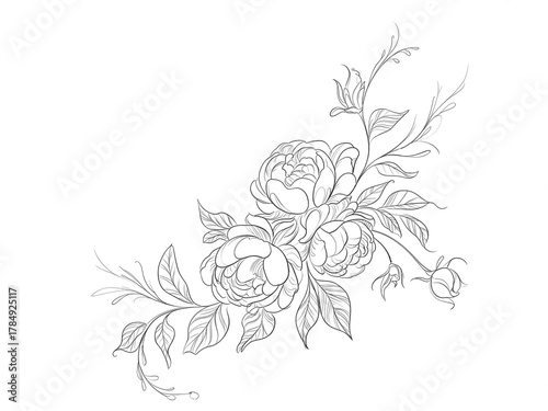 Elegant delicate line art drawing of a blooming rose bouquet with leaves and branches on a white background