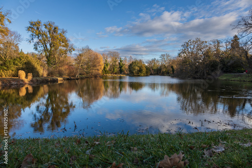 Late Autumn/Early Winter Scene by a Pond in a Historic Park: Reflections of Bare Trees and Willows in the Water on a Clear Day