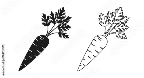 a simple illustration of two carrots one solid black and one outlined