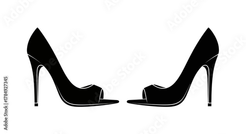 a pair of elegant black high heel shoes standing upright