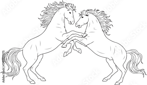 Dynamic Line Art Illustration of Two Rearing Horses Facing Each Other
