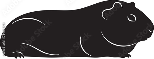 Guinea pig silhouette icon illustration, cute domestic pet rodent mammal