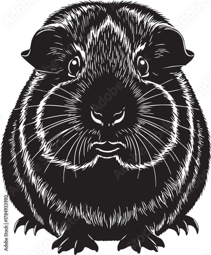Black and white guinea pig illustration, domestic pet animal graphic vector art