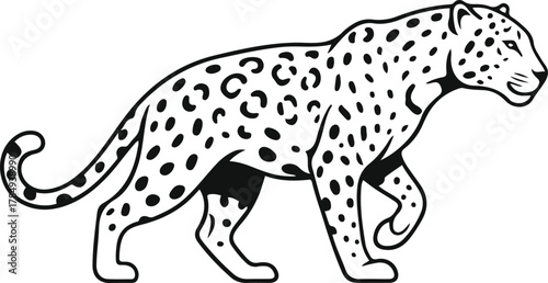 A black and white line drawing of a leopard walking across the frame on a white background art