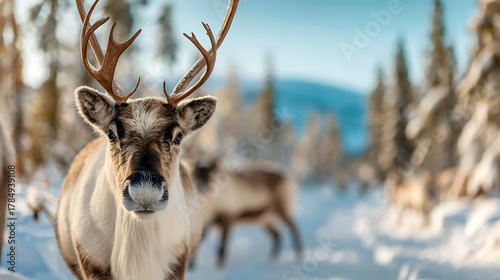 Christmas decorations in interior spaces enchanting holiday atmosphere with reindeer in a winter wonderland