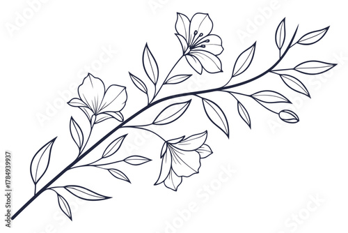 Delicate floral branch with blooming flowers and leaves