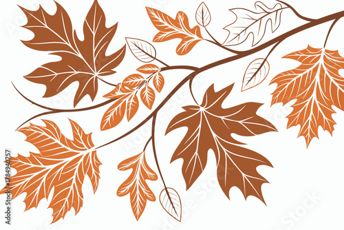 Autumn Maple and Oak Leaves on Branches fall