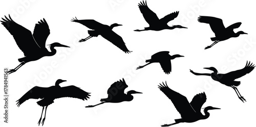 Heron bird silhouettes, flying poses, wing spread, black vector, elegant flight, nature icons, wildlife shapes, feather details, graphic set