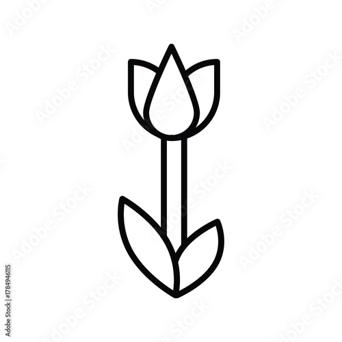 Tulip outline featuring a pointed bud slender stem and two leaves Bold lines define