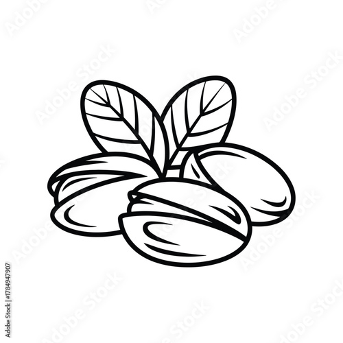 Simple black and white line drawing of pistachios with leaves on a white background