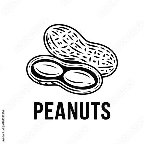Hand drawn illustration of two peanuts one cracked open showing kernels
