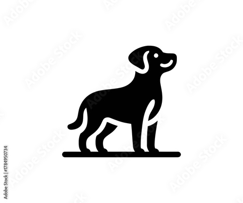 Silhouette of a cute dog