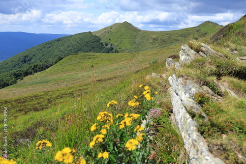 Fototapeta Naklejka Na Ścianę i Meble -  Polonina Wetlinska in Bieszczady Mountains, Poland