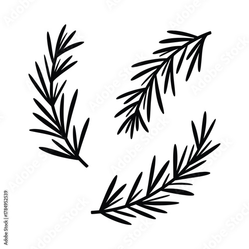 Three stylized black rosemary sprigs on a white background simple botanical illustration
