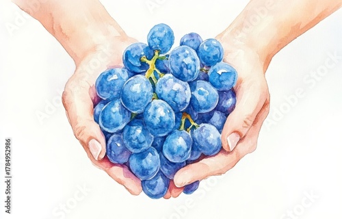 Isolated watercolor painting illustration of grapes in hands