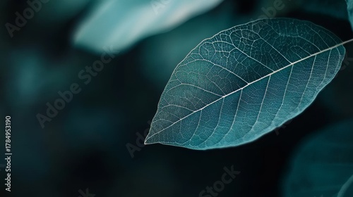 Close-up of leaf veins in shades of green and blue
