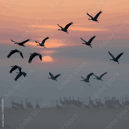Isolated Birds in flight. A silhouettes of cranes in flight. Flock of cranes flies at sunrise. Foggy morning, Sunrise sky background. Common Crane, Grus grus or Grus Communis, big bird in the natural 