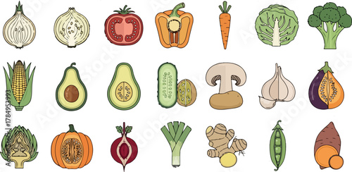 Set of fresh vegetable vector illustration icons including tomato, carrot, pepper, onion, cucumber, pumpkin, eggplant, cabbage, and other healthy food