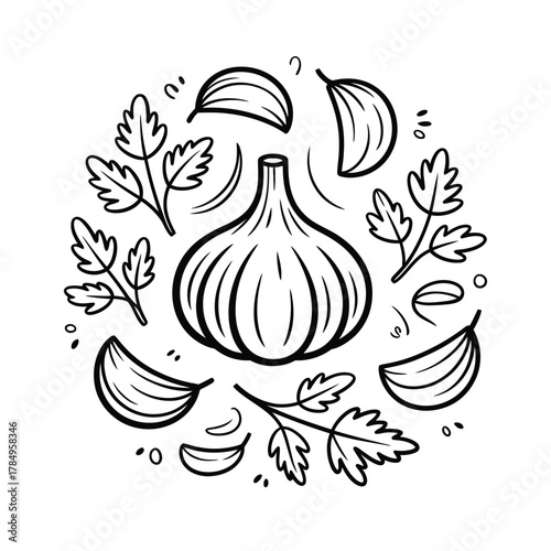 Hand drawn illustration of garlic bulb and cloves with parsley leaves in a circle