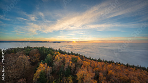 Autumn Forest Canopy Above a Sea of Fog at Sunset, Highlighting the Vibrant Red and Gold Foliage Over the North Black Forest Inversion Layer.
