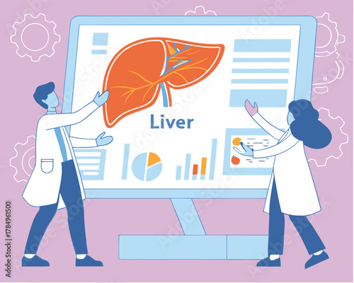 Doctors analyzing liver data on a large computer screen vector illustration