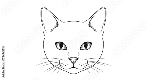 Illustration portraying an expressive feline face on a white backdrop showcases a classic artistic
