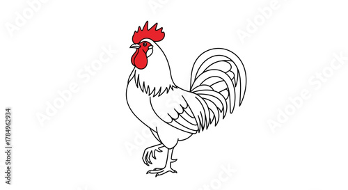 Detailed rooster illustration with a black outline and a red crest, set against a clean white