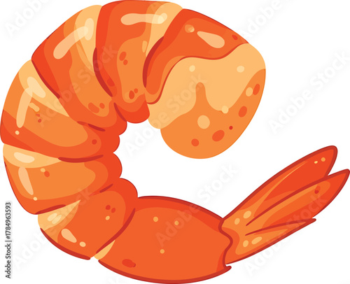 Orange shrimp tail with segmented body and fan tail prawn seafood