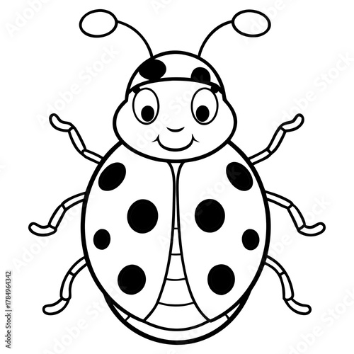 vector illustration of a ladybug