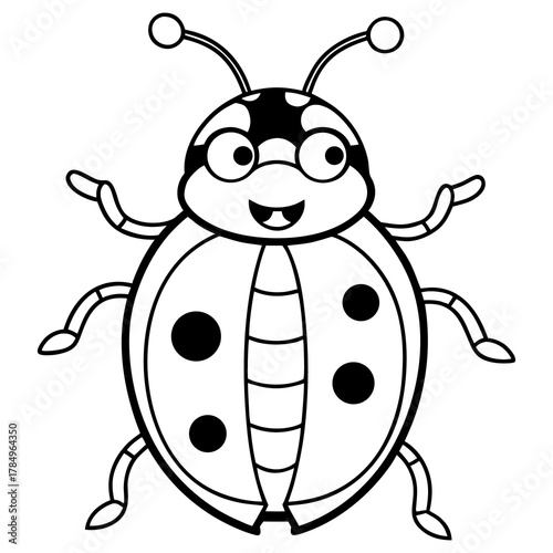colorado potato beetle