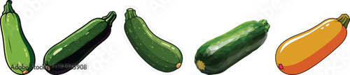 Set of Green and Yellow Zucchini Illustrations and Realistic Photo for Vegetable Market and Healthy Cooking