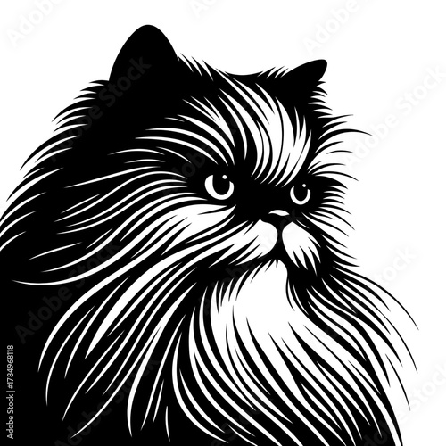 Black silhouette of fluffy cat of brachycephalic breed, vector in style of lines and strokes. Pets and cat breeds concept. Decorative print for vet clinics and grooming salons