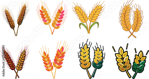 Set of Wheat and Grain Ear Illustrations in Various Styles for Bakery, Agriculture, and Food Packaging Design