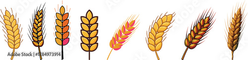 Set of Wheat and Grain Ear Illustrations in Various Cartoon and Stylized Designs for Cereal and Bakery Content