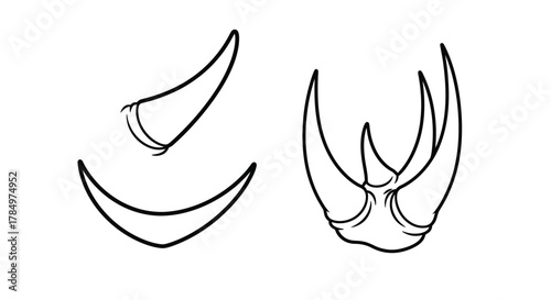 A pair of horns shown in two different angles side  