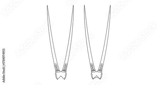 A pair of horns shown in two different angles side by side  