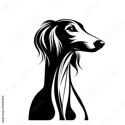 Vector illustration of saluki dog in black strokes and lines. Family pet, love and care for animals, adoption fair. Types of breeds, decoration for grooming salon or vet clinic