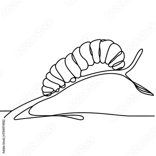 Caterpillar drawn in one continuous line art style vector, crawling on tree branch. Fauna and insects. Agriculture and pests
