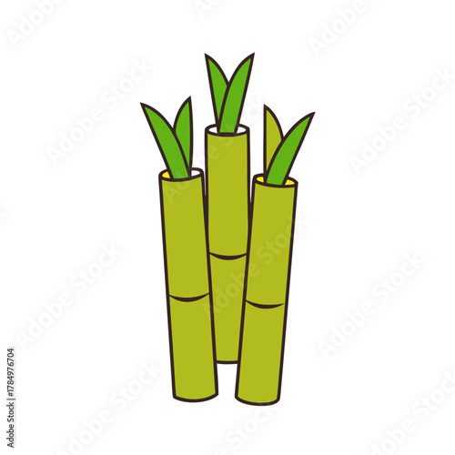 green bamboo isolated on white