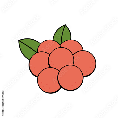 vector illustration of ripe grapes