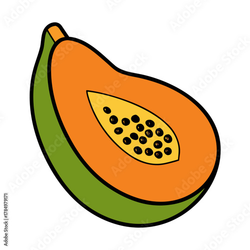 vector illustration of an orange fruit