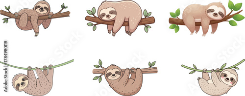 Cute Cartoon Sloth Hanging and Sleeping Vector Set