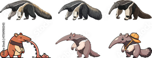 Giant Anteater Illustrations Set: Realistic And Cartoon