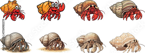 Vector Art of Hermit Crabs in Shells Collection