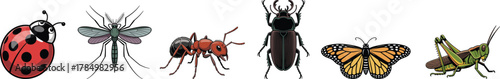 mon Insects and Bugs Vector Set: Ladybug, Mosquito, Ant, Beetle, Butterfly, and Grasshopper Collection