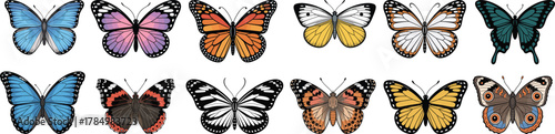 Diverse Butterfly Collection Vector Set: Colourful Wings, Insects, and Wildlife Clip Art