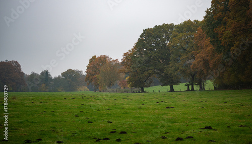 Maulwurfshügel auf Wiese bei Großensee